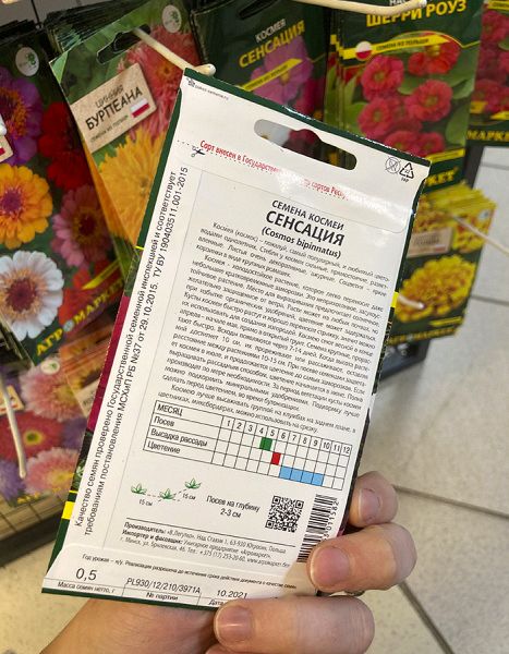 космея Сенсация